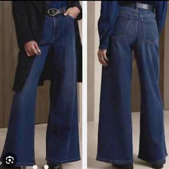 Banana Republic Pleated Wide Leg Trouser Jeans - Picture 1 of 7